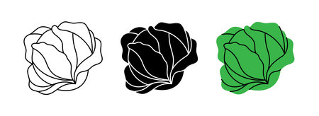 Cabbage icon set. Fresh organic vegetable symbol for kitchen, menu, food package design. Vector illustrationのイラスト素材