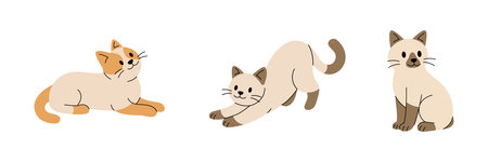 Set of three cartoon cats lying, stretching, and sitting. Flat vector pet illustration in minimal styleのイラスト素材
