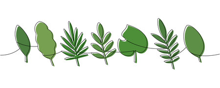 Minimalist continuous line art of assorted green tropical leaves. Botanical contour drawing for elegant modern designのイラスト素材