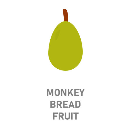 Monkey bread fruit, baobab. Rare tropical fruit icon isolated on white background for botanical and...