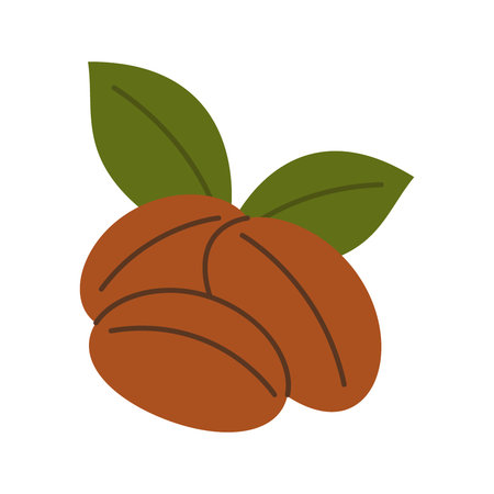 Mexican coffee beans with green leaves. Flat vector exotic food illustration for nature and culinary designsのイラスト素材