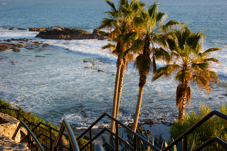 laguna beach coastal view, Los Angeles. Beautiful view of the coast. palm tree on background of oceanの写真素材