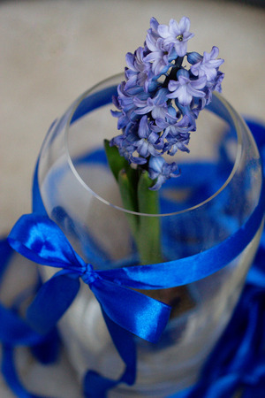 Beautiful hyacinth flowers in glass vase on light blurred backgroundの写真素材