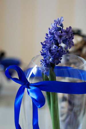 Beautiful hyacinth flowers in glass vase on light blurred backgroundの写真素材