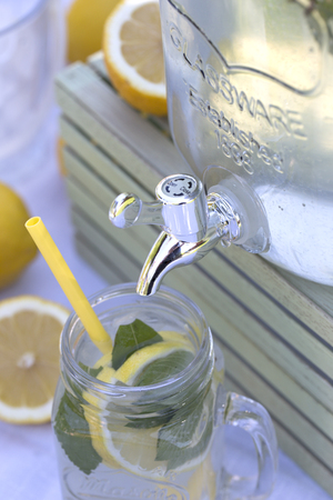 preparation of the lemonade drink. Lemonade in the jug and lemons with mint on the table outdoor
の写真素材