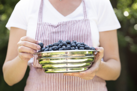 Young woman holding bowl filled blueberries. Crockery with blueberries in woman hands.の写真素材