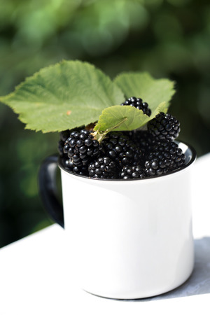 Fresh blackberries in a big white cup. many fresh blackberry in white metallic old cupの写真素材