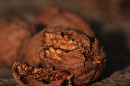 Walnut. Walnut kernels and whole walnuts on rustic old oak table.の写真素材