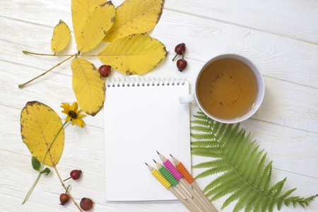 Autumn flatlay on  white wooden backdrop with a cup of tea and fallen dry yellow,  leaves, flowers. Free space for text.の写真素材