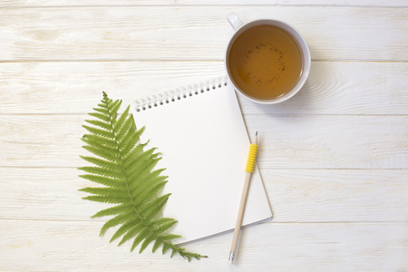 Fern leaf and notebook on white wooden background. Free space for text.の写真素材