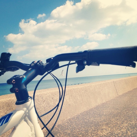 Bike riding along the beach,  2013の素材