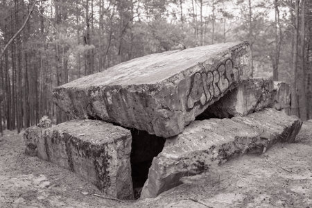 This striking image captures graffiti art on the ruins of a WWII bunker amidst a serene forest,...