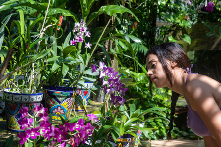 Picture of tourists looking at some beautiful flowers and colorful vegetation of a bromeliad and orchid park at Xcaret park in Mexico, a very visited place by tourists in the Mexican Mayan Riviera.の写真素材