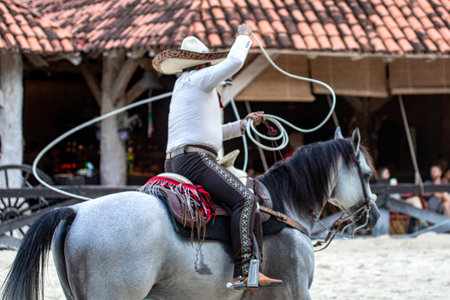 Horseman also known as Mexican charro in a magnificent exhibition of movements with the sliding lasso on a spectacular Aztec horse of great lineage, this is a show at Xcaret Park in Mexico.の写真素材