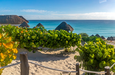 Panoramic view of a paradisiacal beach of Playa Dolphin in Cancun city (Mexico). Tropical and paradisiacal white and golden sand beaches with a paradisiacal turquoise sea. Beach concept.の写真素材