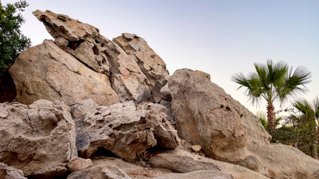 Landscape of desert vegetation with its rocks, palm trees and other shrubs in an arid environment under a blue sky. Desert life conceptの写真素材