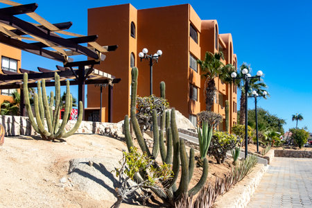 Housing in a desertic scenery of Los Cabos San Lucas in Baja California Sur, Mexico. It is a beautiful place with its desertic landscapes, cacti, palm trees, rocks.の写真素材