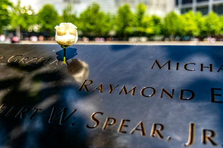 A rose placed at the memorial with engraved names at the World Trade Center site in New York.