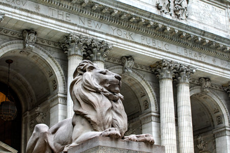 A lion at the entrance and guarding the public library of New York is one of the most important in...