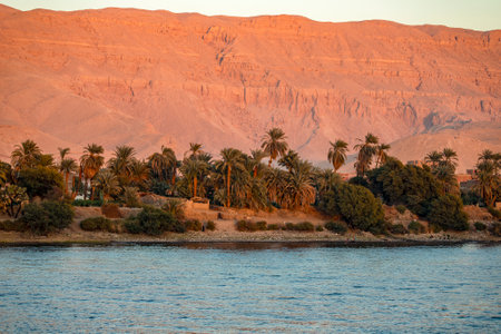 The contrast of the Nile River oasis. The lush green fields and ancient temples contrast with the vast, golden Sahara desert. This breathtaking view is a spectacle.の写真素材