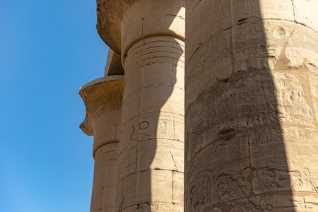 Discover the enchanting forest of papyriform columns that grace the Temple of Luxor. These unique...