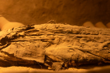Unveil the mystery of the Nile Guardians, mummified crocodiles on display at the Kom Ombo Temple, a sacred site dedicated to the crocodile god Sobek.の写真素材