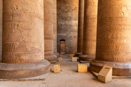 Rising like ancient trees, these mighty pillars support the celestial canopy of the Edfu temple....
