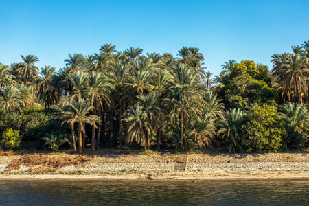 Discover the Nile Oasis, a verdant valley cruise through Egypt's heart. Witness lush landscapes, ancient temples, and the Nile's fertile banks, all from the comfort of our luxurious ship.の写真素材