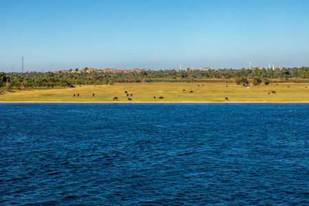 Experience the Nile Emerald, a jewel of the desert. Our cruise offers breathtaking views of the Nile's fertile banks and ancient wonders.の写真素材