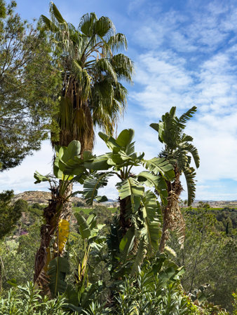 Discover the Ricote Valley of Archena, a Moorish landscape on the banks of the Segura River in Murcia. Experience the beauty and cultural richness of this hidden gem.の写真素材