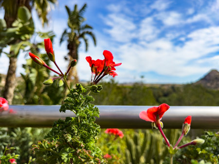 Explore the unique landscape and history of the Moorish Valley, Ricote Landscape, along the Segura River in Archena, Murcia, Spain.の写真素材