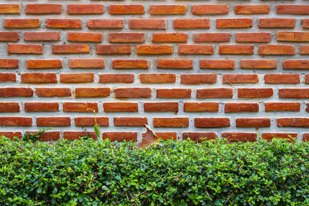 Background of old vintage brick wallの写真素材