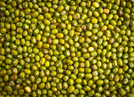 Green mung beans texture backgroundの写真素材