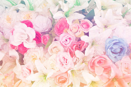 Sweet color roses made with gradient in soft style for abstract backgroundの写真素材