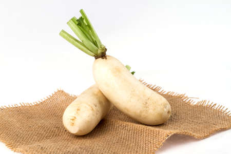 white fresh radishes on white background