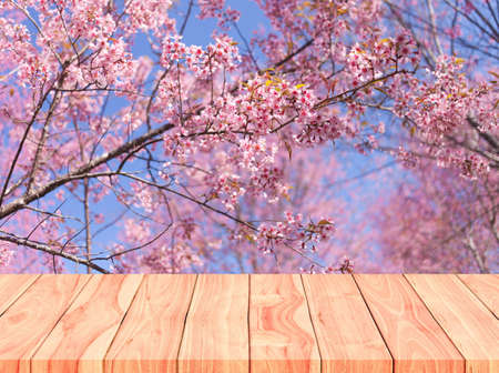 Empty brown wood table for display product and beautiful pink sakura flower  nature background.の写真素材