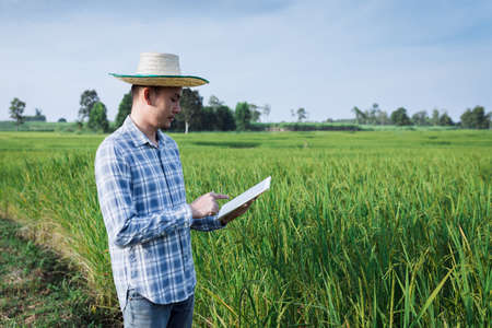 Asian man farmer with smartphone walk to inspect rice trees on the rice farm.の写真素材