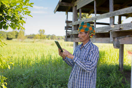 Asian man farmer with hand holding smart phone standing in rice farm, cash subsidy conceptの写真素材