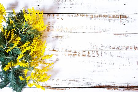 spring mimosa flowers, close up of bouquetの写真素材