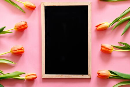 Tulips on pink background  with a frame for an advertisement. Woman's day present.