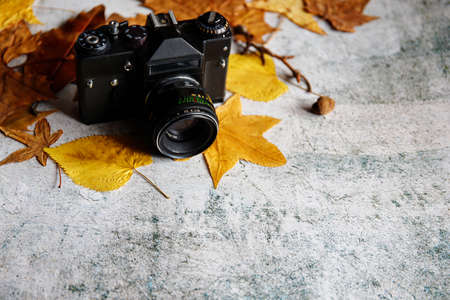 Little child exploring a garden with magnifying glass in fall. Lifestyle photo.の写真素材