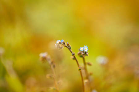 Art abstract natural backgrounds with beauty bokehの写真素材