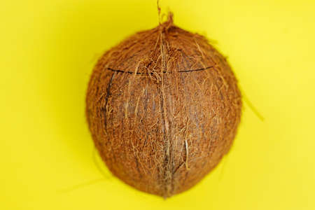 Summer composition. Coconut on yellow background. Summer concept.の写真素材