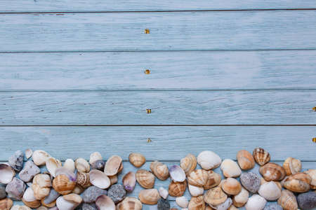 Summer beach background, seashells on light blue background. Top view. Sea summer vacation...