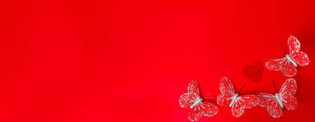 Valentine s day concept, red butterflies on red background. Greeting Cards. copy space.の写真素材