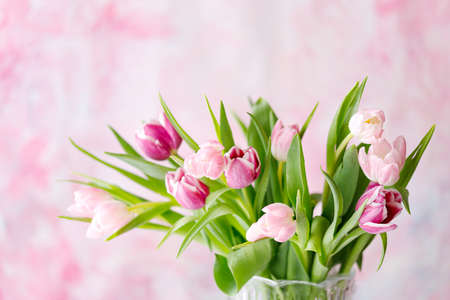 spring tulips on pink background. Greeting card for mothers day.の写真素材