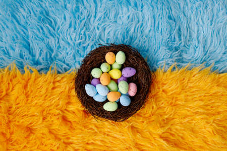 Newborn digital background flokati with easter egg decoration.