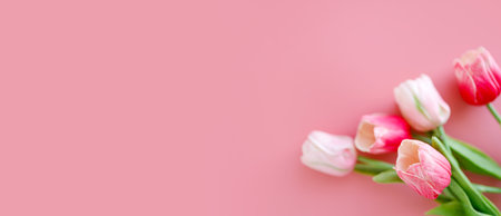 Bouquet of pink tulips flowers on pastel pink backgroundの写真素材