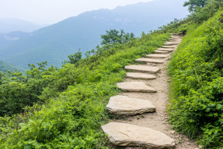 Misty Stone Hiking Trail Through Lush Green Mountain Landscape in Scenic Nature Adventure Pathwayの素材