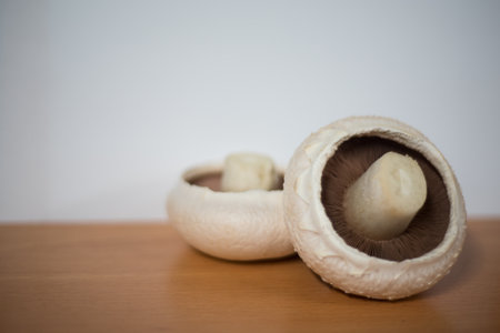 Selective focus of two Australian White flat mushroom (Agaricus bisporus) isolated on a brown wooden...